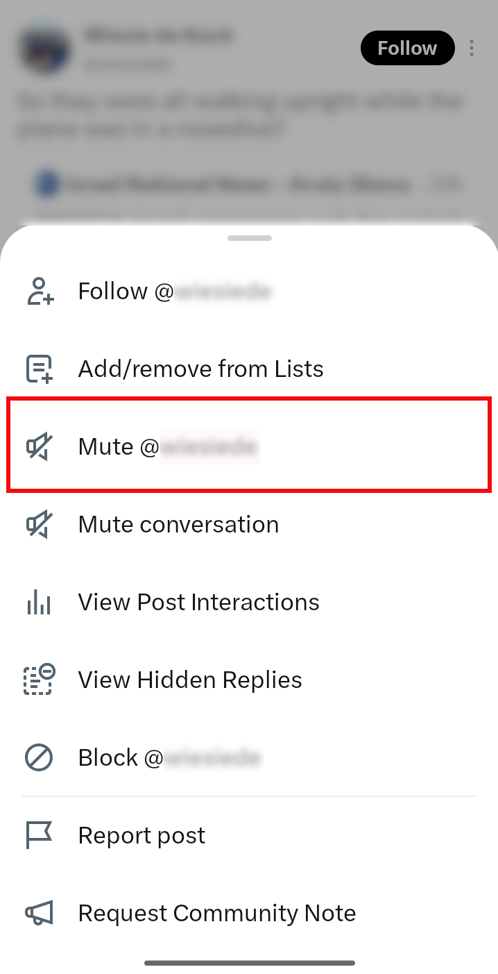 X post menu with Mute highlighted